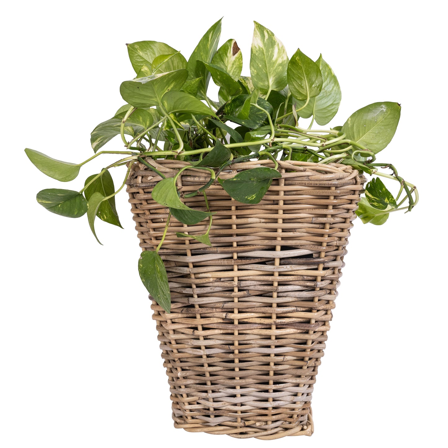 Square Tapered Rattan Planter with Black Plastic Insert