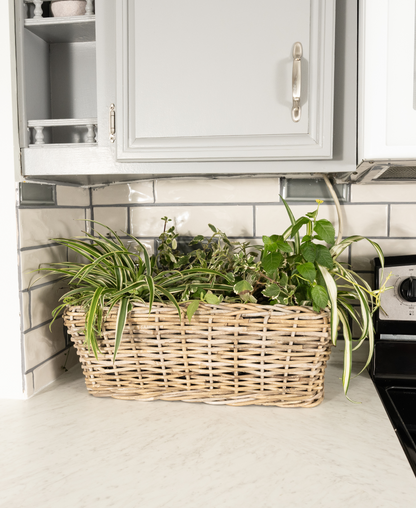 Rectangular Rattan Planter with Plastic Insert