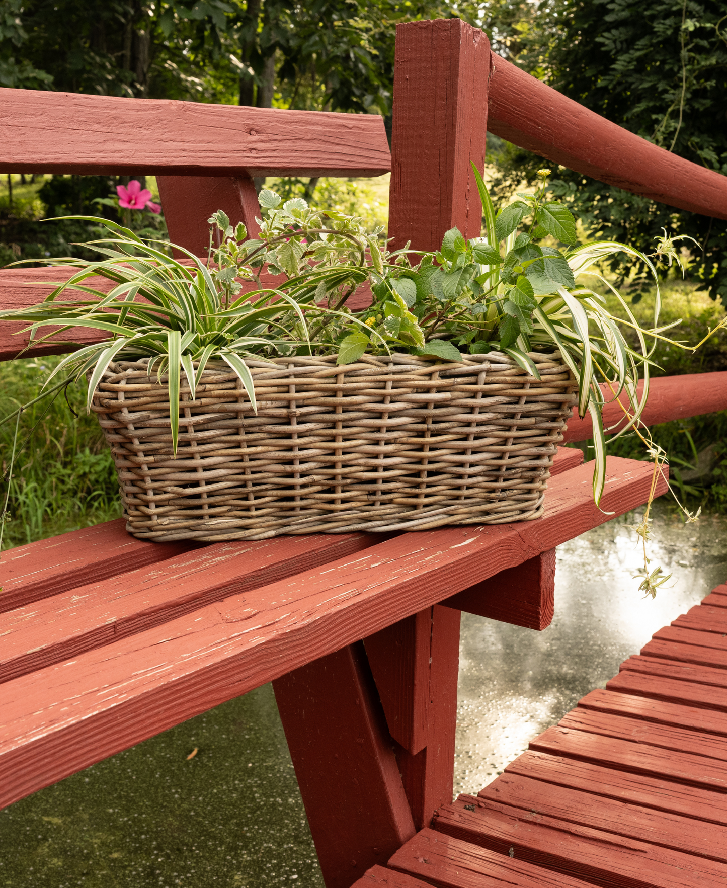 Rectangular Rattan Planter with Plastic Insert