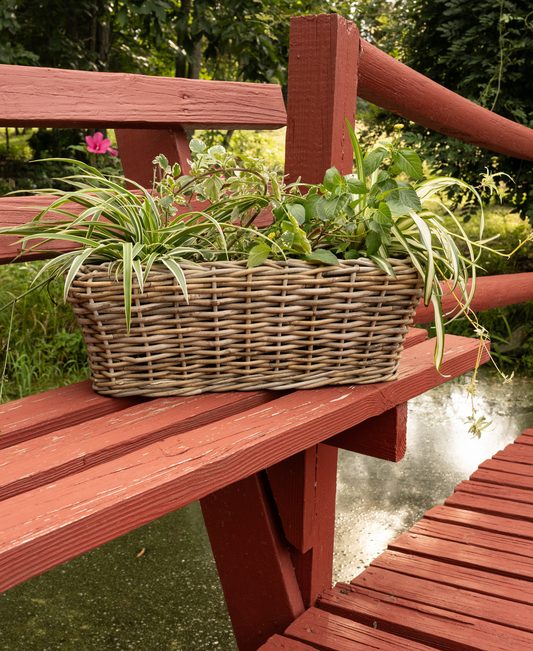 Rectangular Rattan Planter with Plastic Insert
