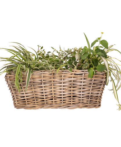 Rectangular Rattan Planter with Plastic Insert