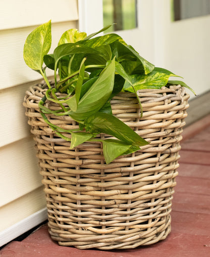 Round Rattan Planter with Plastic Insert