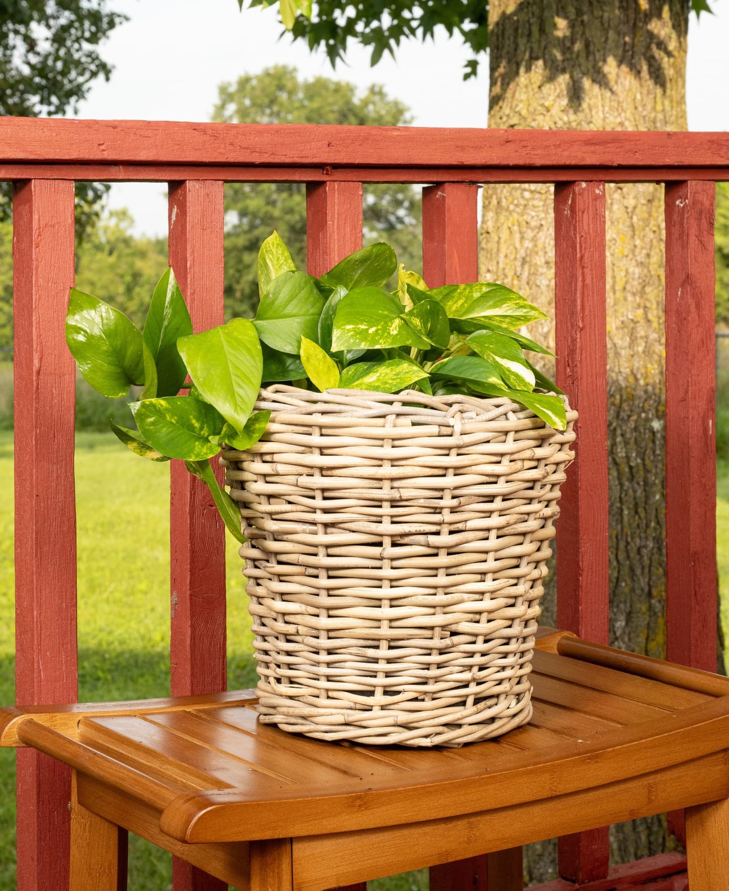 Round Rattan Planter with Plastic Insert