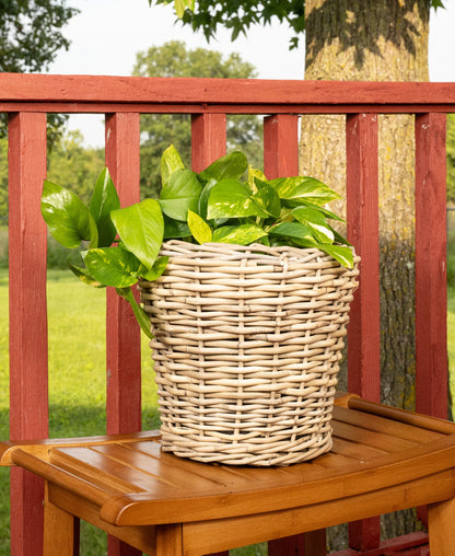 Round Rattan Planter with Plastic Insert