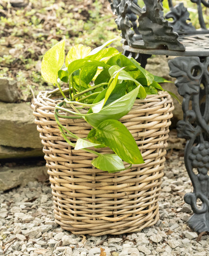 Round Rattan Planter with Plastic Insert