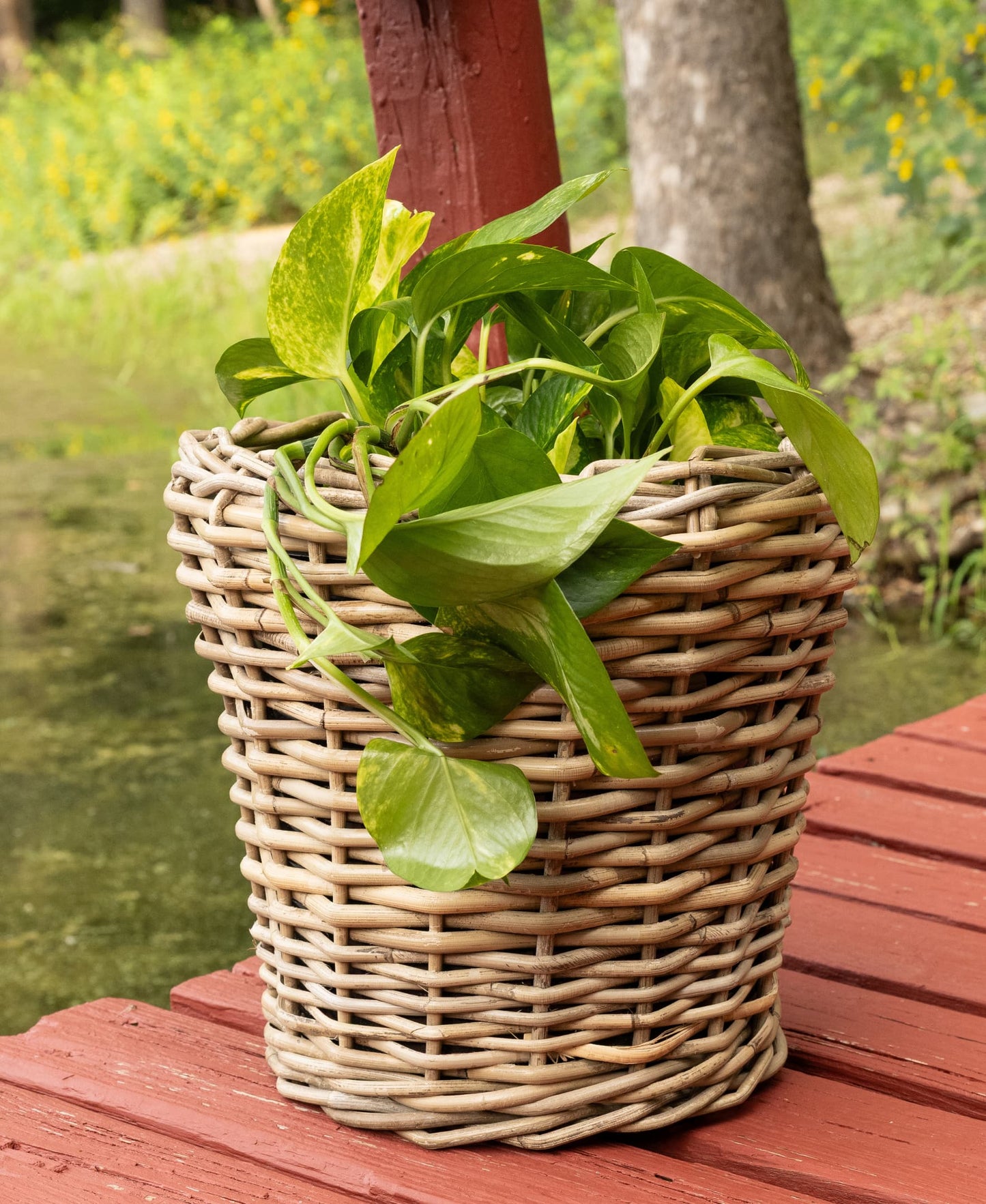 Round Rattan Planter with Plastic Insert