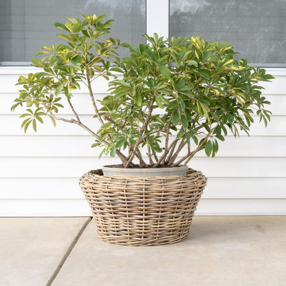 Round Cone Rattan Planter with Plastic Liner