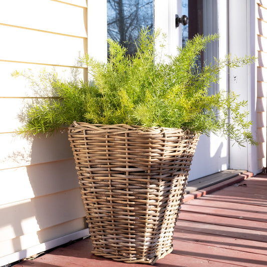 Square Tapered Rattan Planter with Black Plastic Insert