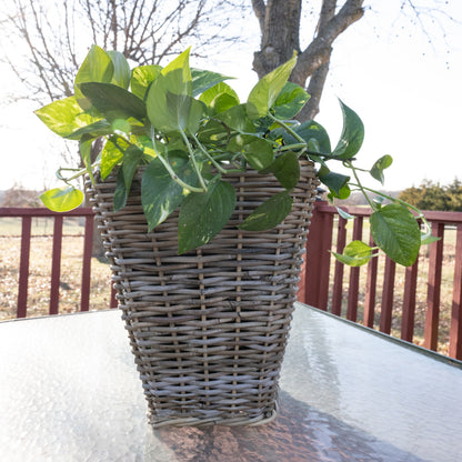Square Tapered Rattan Planter with Black Plastic Insert