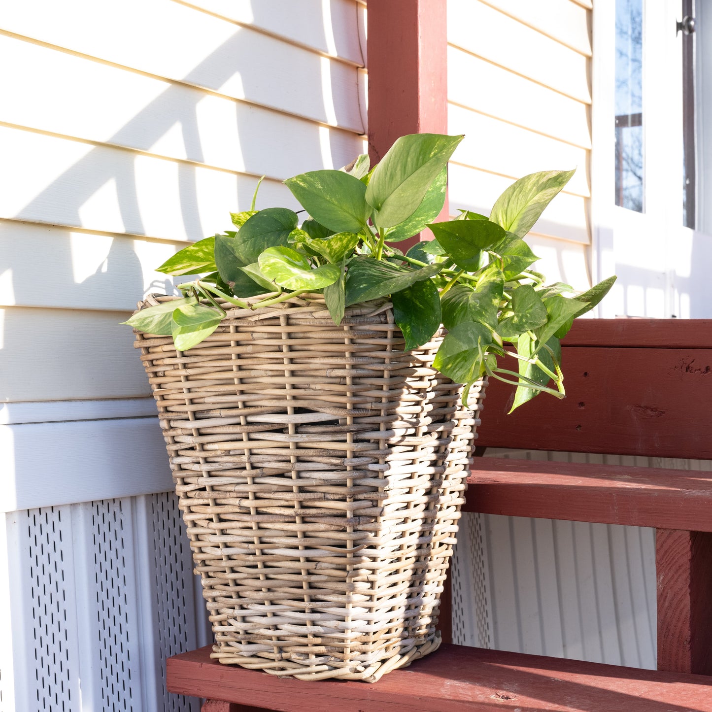 Square Tapered Rattan Planter with Black Plastic Insert
