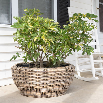 Round Belly Rattan Planter with Plastic Liner