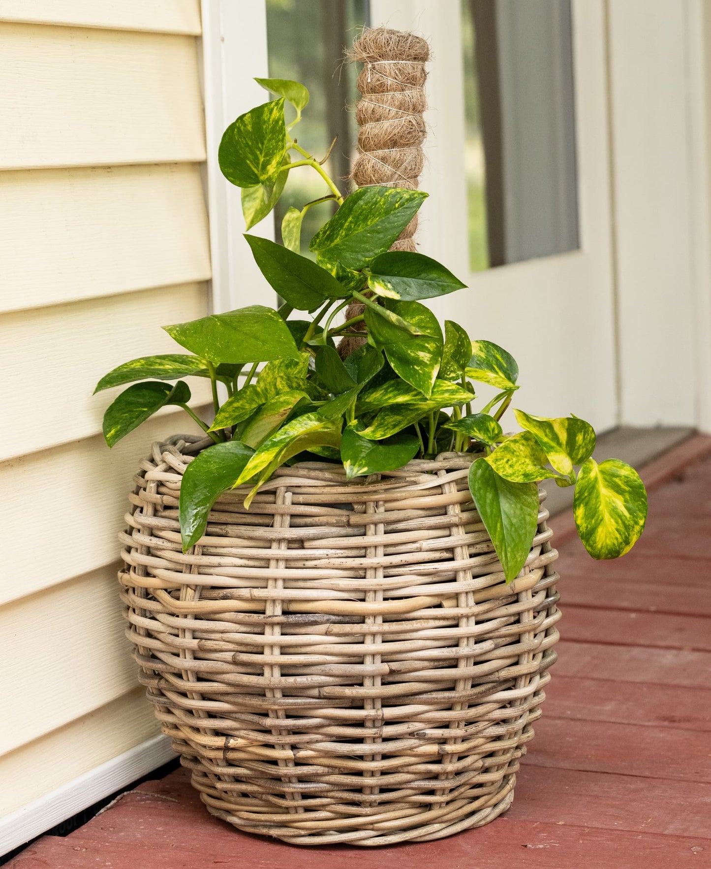 Round Belly Rattan Planter with Plastic Insert
