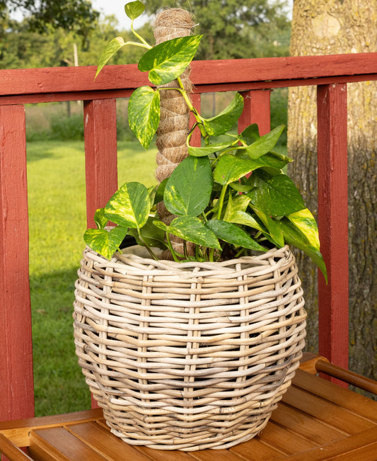 Round Belly Rattan Planter with Plastic Insert