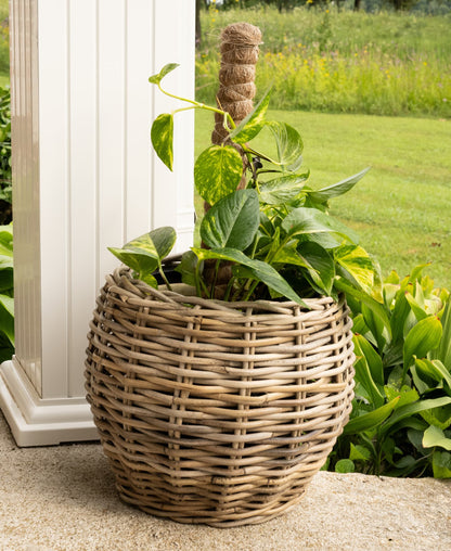 Round Belly Rattan Planter with Plastic Insert