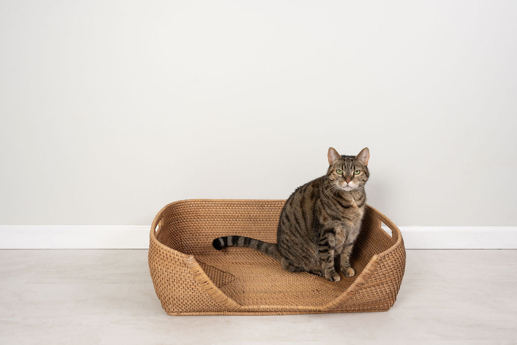Rattan Pet Bed