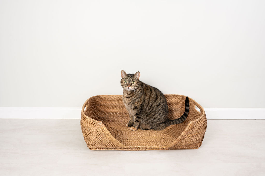 Rattan Pet Bed