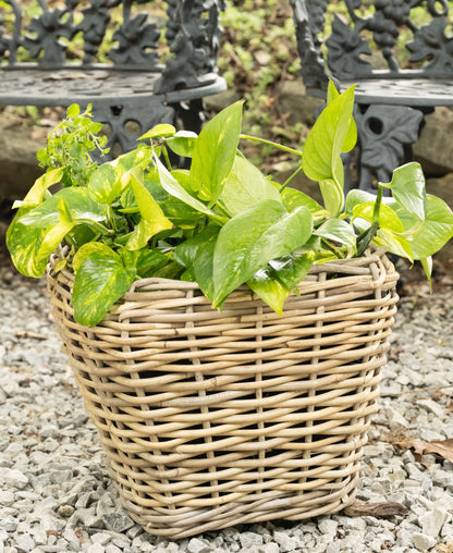 Square Tapered Rattan Planter with Plastic Liner