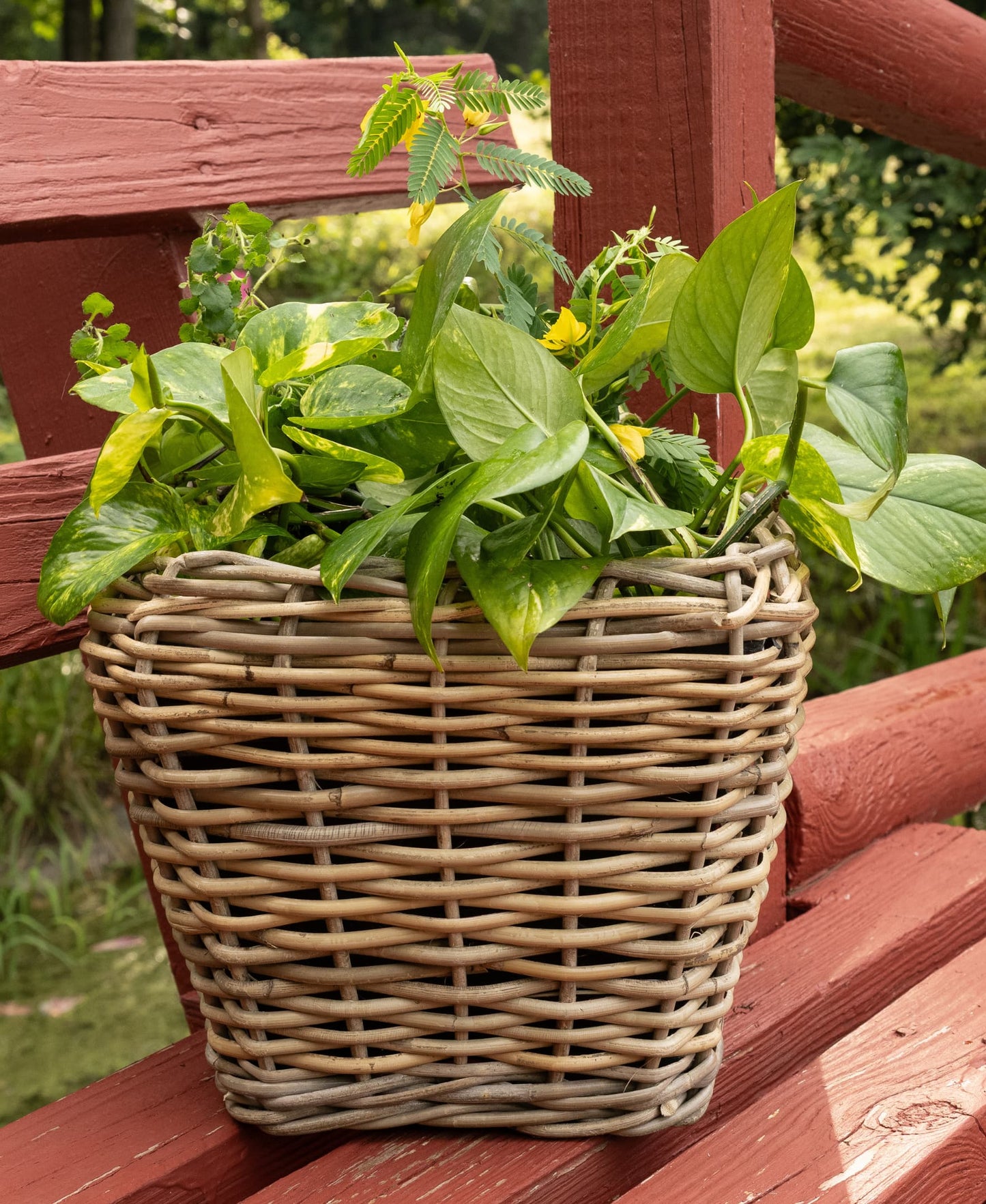 Square Tapered Rattan Planter with Plastic Liner
